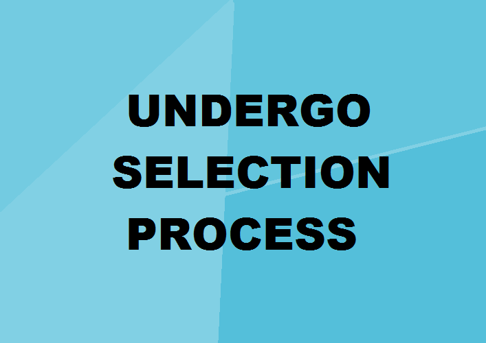 Undergo Selection Process
