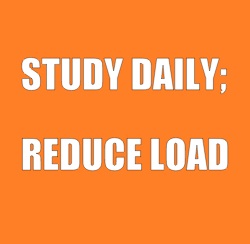 Study daily