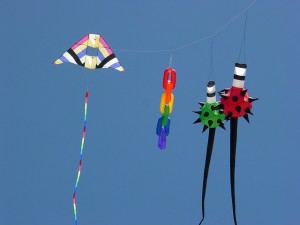 kites on uttarayan