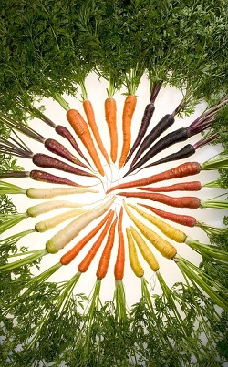 carrots in variety of colors