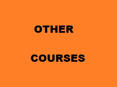 Other courses