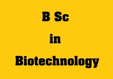 B.Sc. in Biotechnology