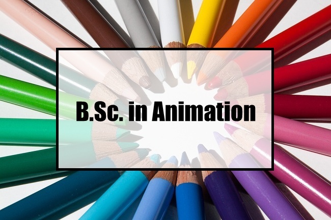 B.Sc. in Animation