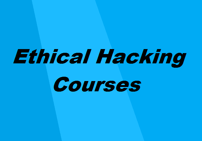 Ethical hacking courses in India