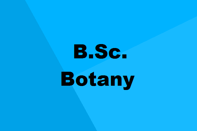 B.Sc. Botany