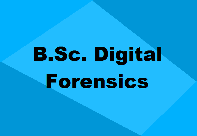 B.Sc. Digital Forensics