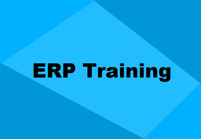 ERP Training Course