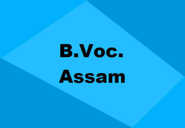 B.Voc. Colleges Assam