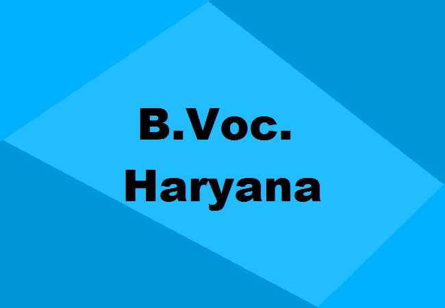 B.Voc. Colleges in Haryana