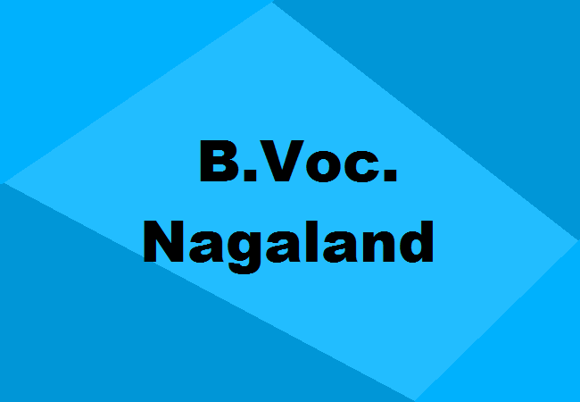 B.Voc. Colleges in Nagaland