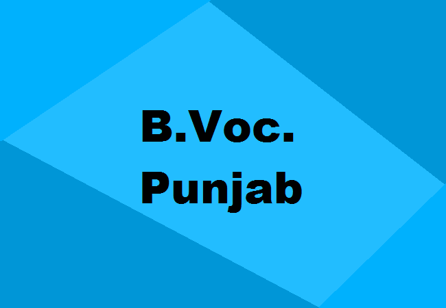 B.Voc. Colleges Punjab