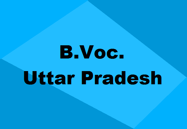 B.Voc. Colleges Uttar Pradesh