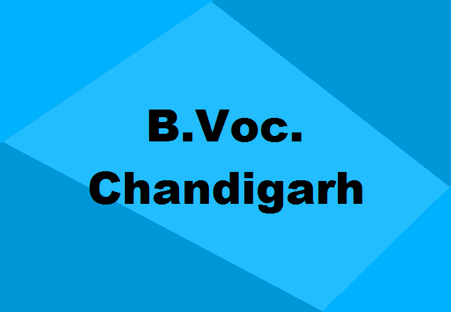 B.Voc. Colleges Chandigarh