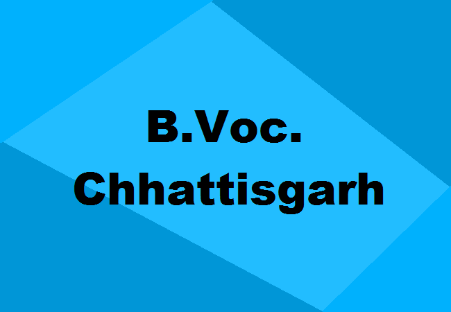 B.Voc. Colleges in Chhattisgarh