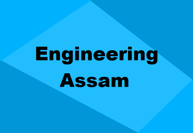 Engineering Colleges Assam