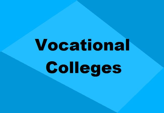 Vocational Colleges in India