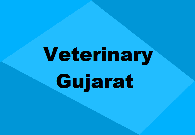 Veterinary Colleges Gujarat