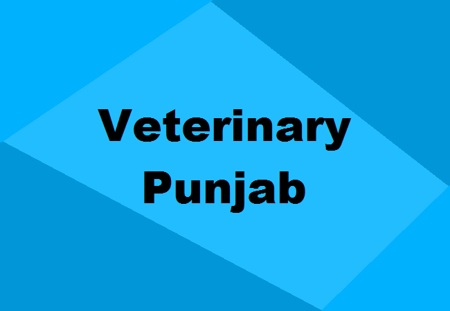 Veterinary Colleges Punjab