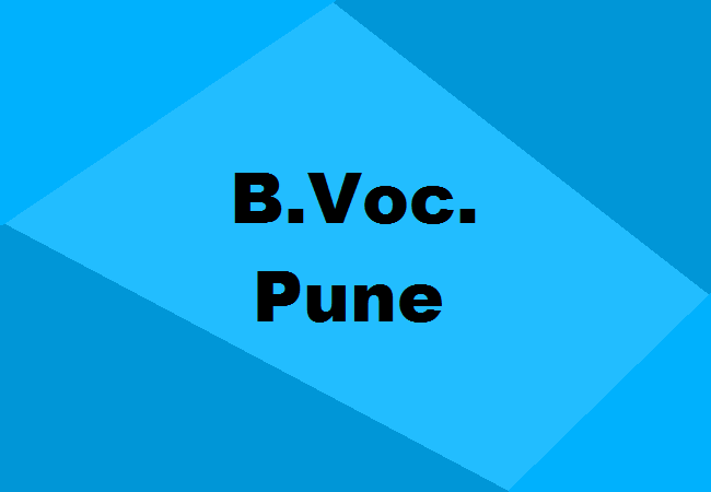 B.Voc. Colleges Pune