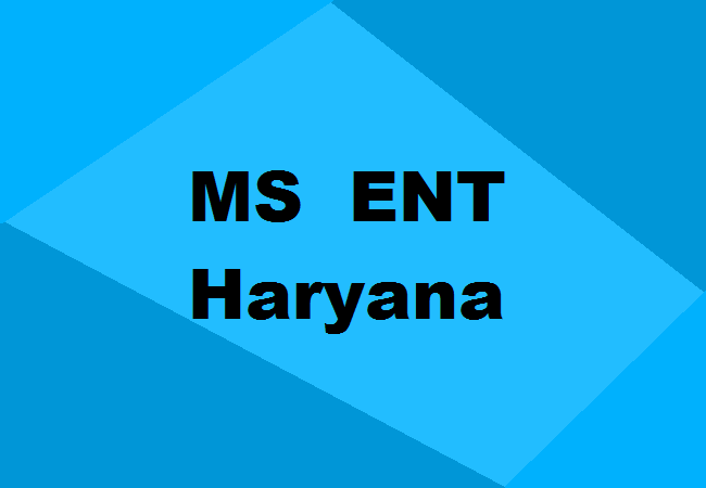 MS ENT Colleges Haryana