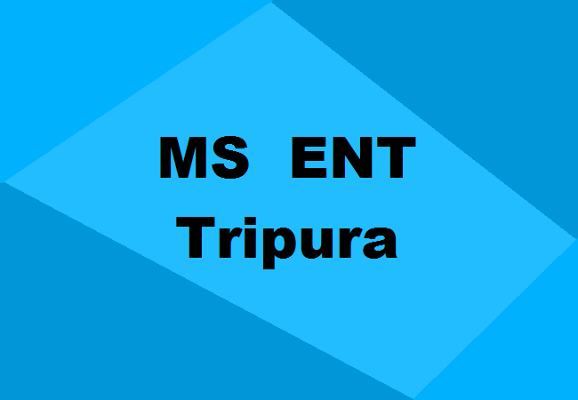 MS ENT Seats Manipur