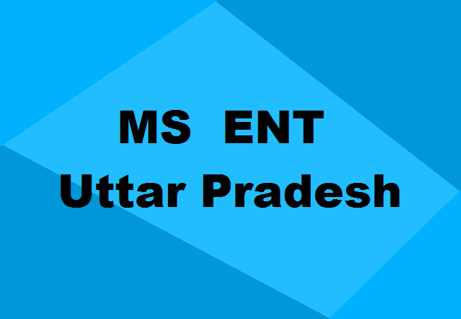 MS ENT Seats Uttar Pradesh