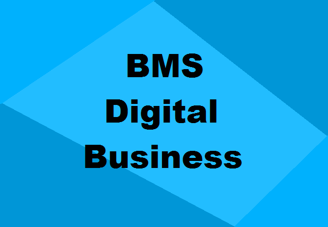 BMS in Digital Business