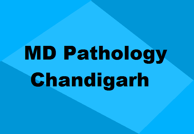 MD Pathology Colleges Chandigarh