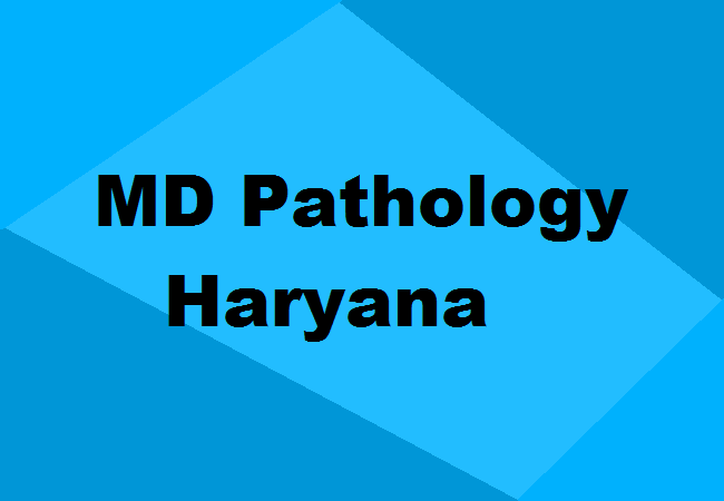 MD Pathology Colleges Haryana