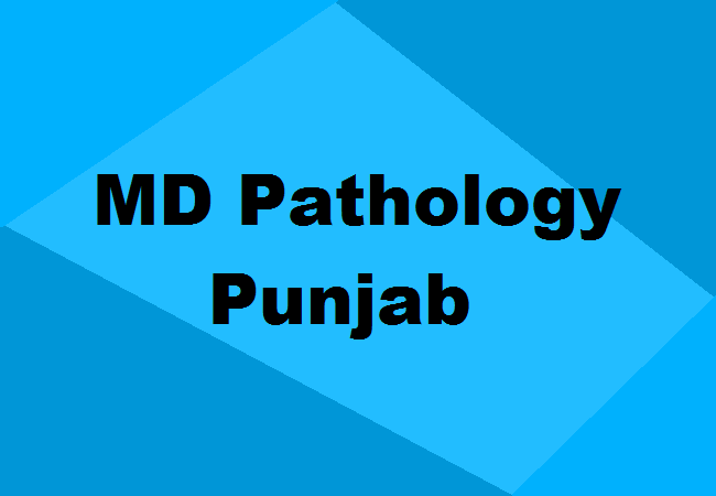 MD Pathology Colleges Punjab