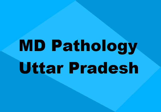 MD Pathology Seats UP