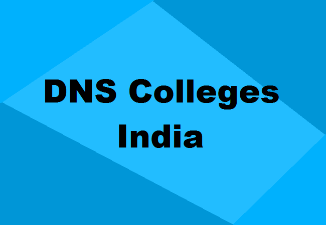 DNS Colleges India