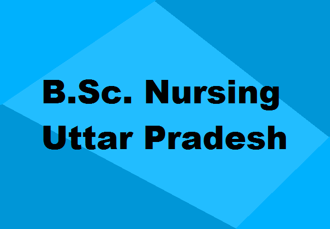 B.Sc. Nursing Colleges UP
