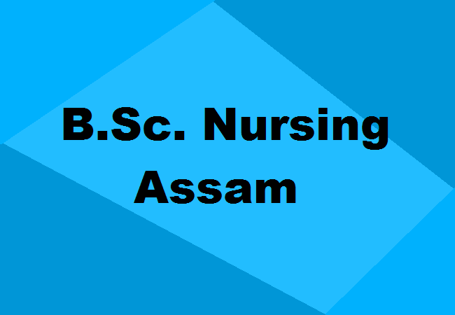 B.Sc. Nursing Colleges Assam