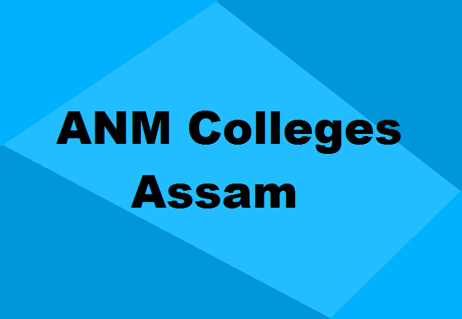 ANM Colleges Assam