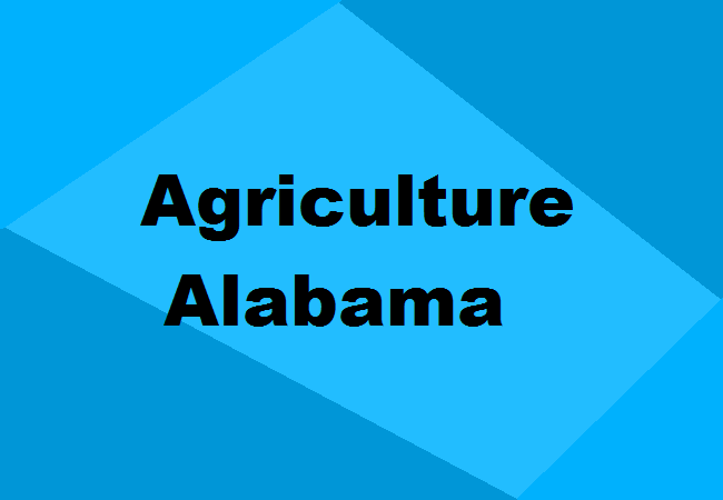 Agriculture Colleges Alabama