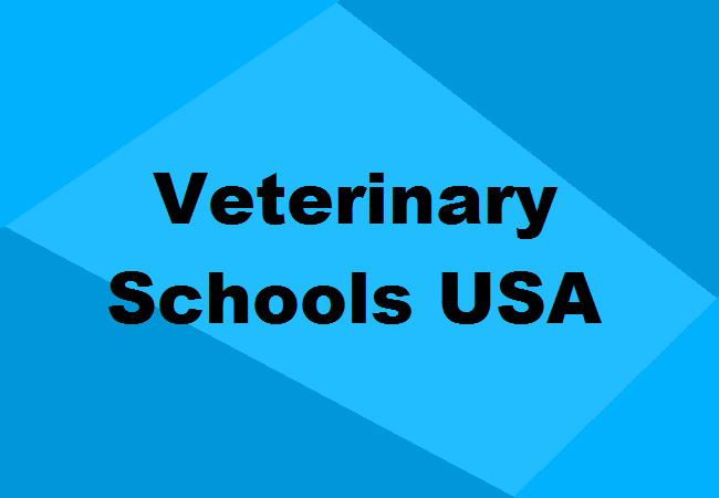 Veterinary Schools in the US