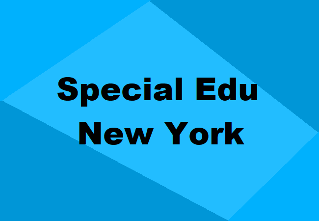 Special Education Schools New York