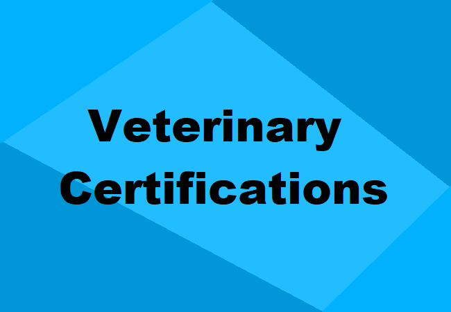 Veterinary Certifications USA