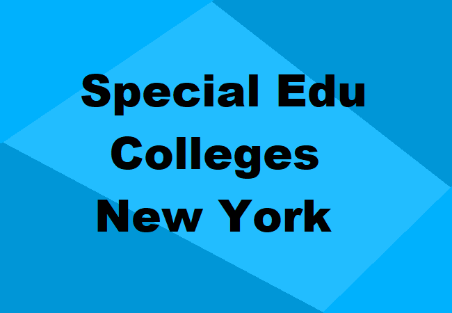 Special Education Colleges New York