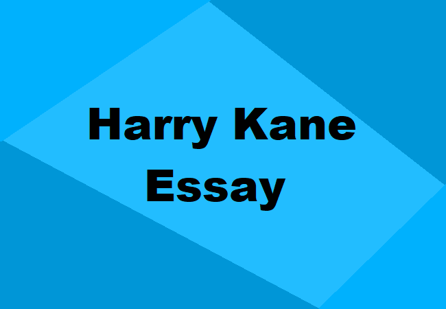 Harry Kane Essay