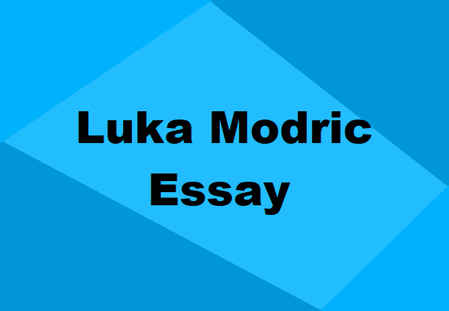 Luka Modric Essay