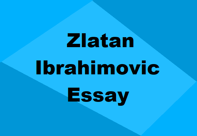 Zlatan Ibrahimovic Essay