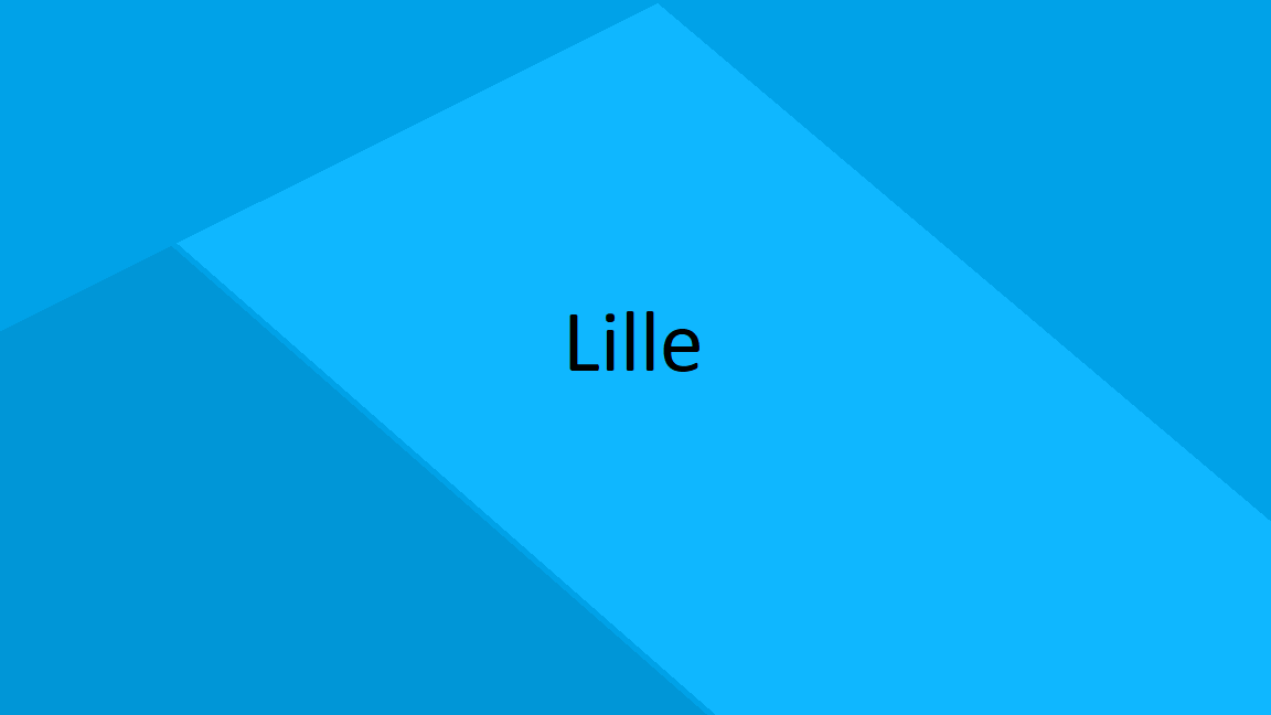 Lille High Schools